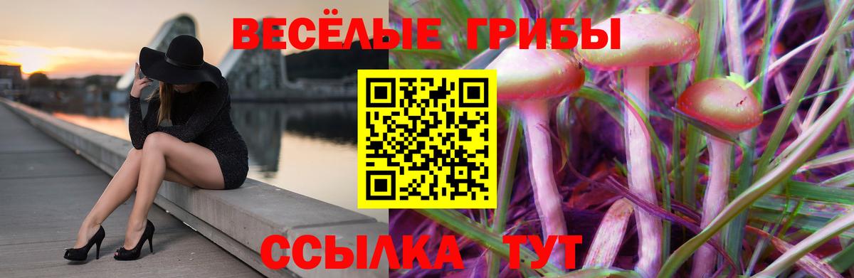 Галлюциногенные грибы ЛСД Сухой Лог