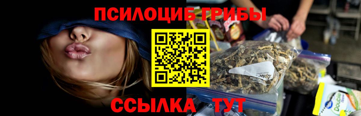 Сухой Лог  Галлюциногенные грибы Psilocybine cubensis  Вход с VPN 